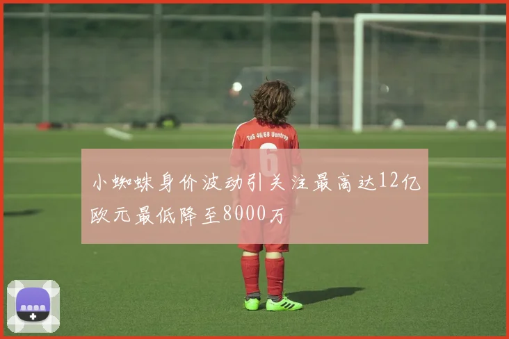 小蜘蛛身价波动引关注最高达12亿欧元最低降至8000万