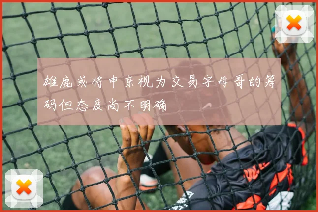 雄鹿或将申京视为交易字母哥的筹码但态度尚不明确